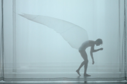 'Metamorphosis': Ovidio in danza al Teatro Modena