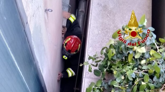 Accusa un malore e finisce in un’intercapedine dell’ospedale Gaslini: donna ricoverata in gravi condizioni Accusa un malore e finisce in un’intercapedine dell’ospedale Gaslini: donna ricoverata in gravi condizioni