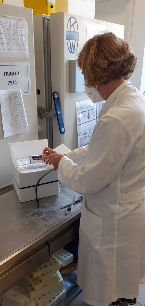 Vaccini bivalenti, da oggi al via prenotazioni per la quarta dose over 12 Vaccini bivalenti, da oggi al via prenotazioni per la quarta dose over 12