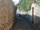 Comitato del Priano, nuovi allarmi sulla strada dopo il maltempo. I residenti: “Riaprire un dialogo con il Comune contro l'isolamento” Comitato del Priano, nuovi allarmi sulla strada dopo il maltempo. I residenti: “Riaprire un dialogo con il Comune contro l'isolamento”