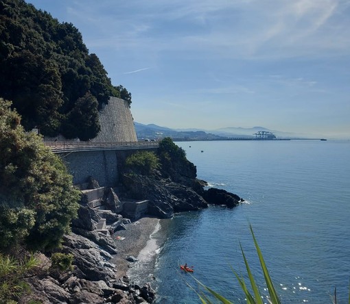 Vesima si prepara per una piccola rivoluzione della raccolta rifiuti: servizio personalizzato contro l’abbandono Vesima si prepara per una piccola rivoluzione della raccolta rifiuti: servizio personalizzato contro l’abbandono