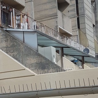 “Al Quartiere San Pietro i politici portino proposte, non polemiche” “Al Quartiere San Pietro i politici portino proposte, non polemiche”