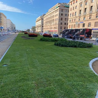 Suolo e verde a Genova diventano “infrastrutture ecosistemiche” nel PUC