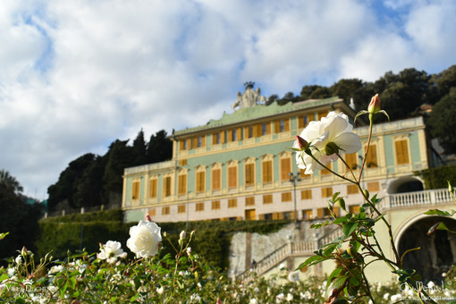 La facciata principale di Villa Duchessa di Galliera a Voltri La facciata principale di Villa Duchessa di Galliera a Voltri