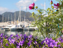 Al via la nuova edizione di "Yacht&amp;Garden": fiori, barche e sostenibilità alla Marina di Sestri