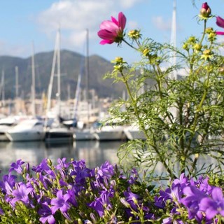Giardino mediterraneo e raduno di vele d'epoca, da venerdì 20 a domenica 22 maggio torna Yacht &amp; Garden