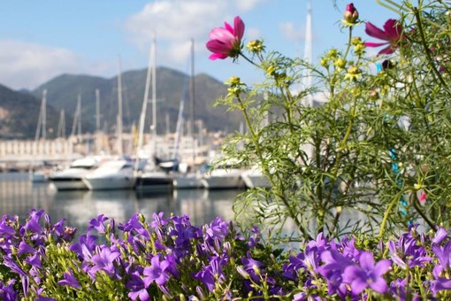 Giardino mediterraneo e raduno di vele d'epoca, da venerdì 20 a domenica 22 maggio torna Yacht &amp; Garden