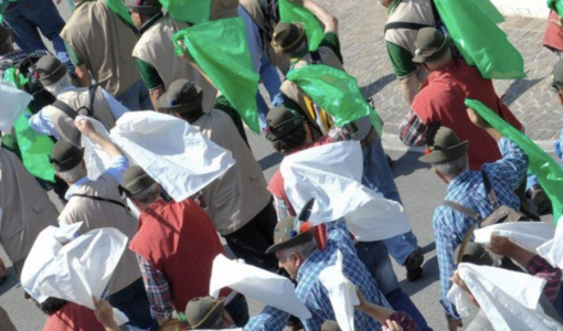 Adunata Alpini a Genova: l’accoglienza della Diocesi