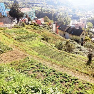 Nell’Oasi Terre dei Bravin nascono le "Cene del Panda": così  le tradizioni gastronomiche genovesi promuovono la biodiversità locale