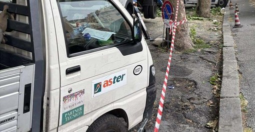 Largo Eros Lanfranco, via l'asfalto per salvare lo storico tiglio