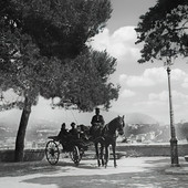Meraviglie e leggende di Genova - Perché l’Acquasola si chiama così?