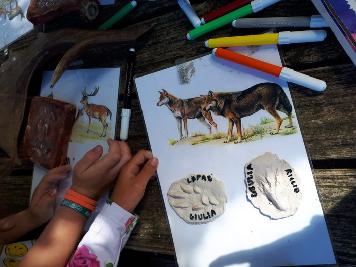 Attività per birdwatcher e Junior Geoparker nel fine settimana del Parco del Beigua Attività per birdwatcher e Junior Geoparker nel fine settimana del Parco del Beigua