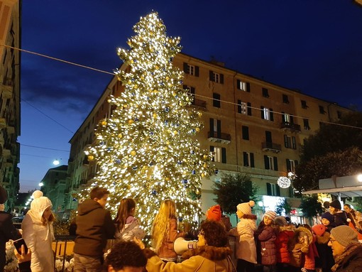 Si avvicina il tempo dell'albero di Natale, l'appello Coldiretti: &quot;Scegliete abeti naturali e italiani&quot;