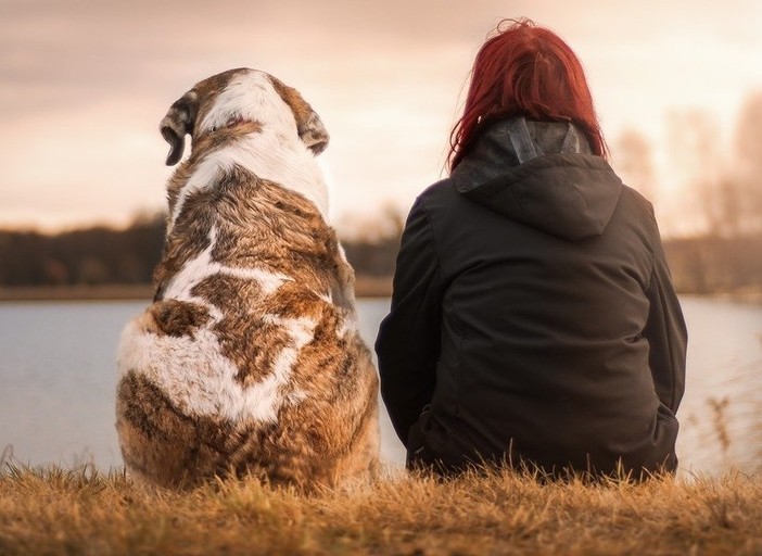 Recco: firmata convenzione tra il Comune e l'associazione "Amici del cane" per la custodia dei cani abbandonati