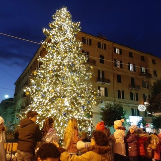 Si avvicina il tempo dell'albero di Natale, l'appello Coldiretti: "Scegliete abeti naturali e italiani"
