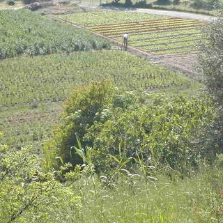 Coldiretti Liguria all'assemblea per l'elezione del nuovo presidente nazionale