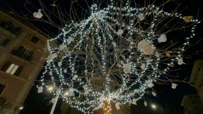 Illuminati due alberi di Natale in memoria delle vittime del crollo del ponte Morandi