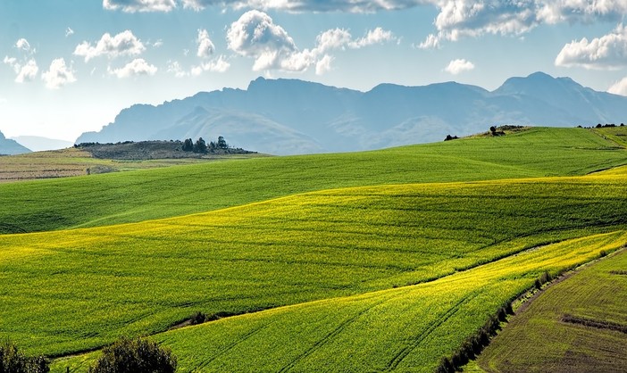 Agricoltura, Regione Liguria apre una nuova finestra fino al 23 settembre per due bandi da oltre 24,4 milioni Agricoltura, Regione Liguria apre una nuova finestra fino al 23 settembre per due bandi da oltre 24,4 milioni