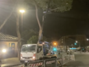 Aster taglia tre pini tra corso Firenze e il parco di Valletta Cambiaso: “Intervento programmato da tempo”