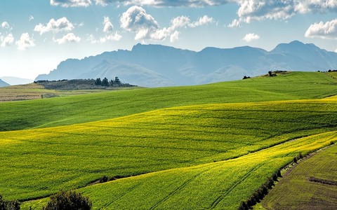 Agricoltura, Regione Liguria apre una nuova finestra fino al 23 settembre per due bandi da oltre 24,4 milioni