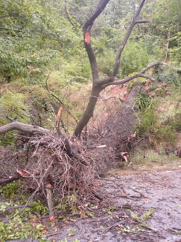 Terminata l'allerta meteo, l'aggiornamento di ANAS sulla situazione delle strade liguri