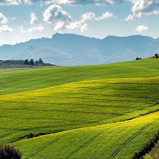 Agricoltura, Regione Liguria apre una nuova finestra fino al 23 settembre per due bandi da oltre 24,4 milioni Agricoltura, Regione Liguria apre una nuova finestra fino al 23 settembre per due bandi da oltre 24,4 milioni