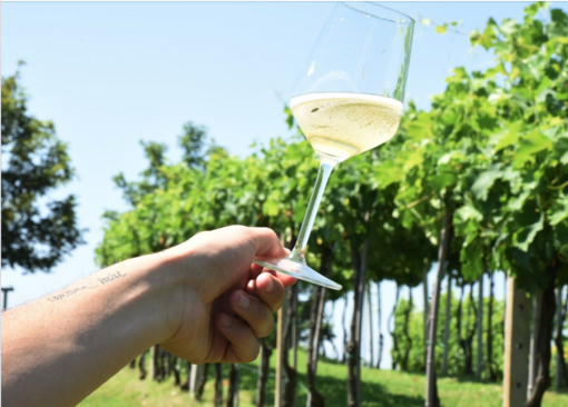 Per l'apertura di Collisioni a Barolo con Eddie Vedder arriva l'Asti Day