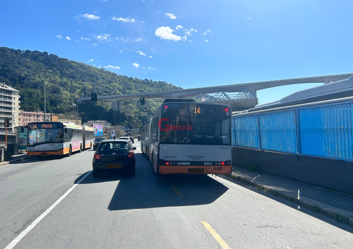Quattro Assi in Val Bisagno, MobìGe critica il Comune: "Corsie riservate e percorso ancora nel vago" Quattro Assi in Val Bisagno, MobìGe critica il Comune: "Corsie riservate e percorso ancora nel vago"