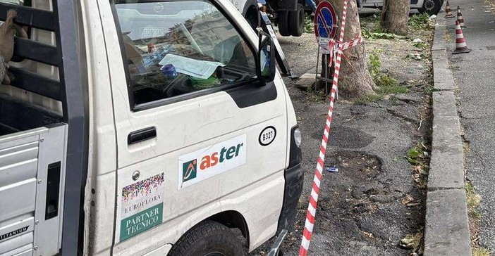 Largo Eros Lanfranco, via l'asfalto per salvare lo storico tiglio