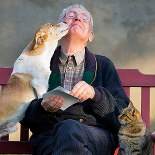 Foto Facebook Frontline Foto Facebook Frontline