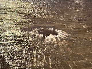 Foto Facebook Anna Palmieri Foto Facebook Anna Palmieri