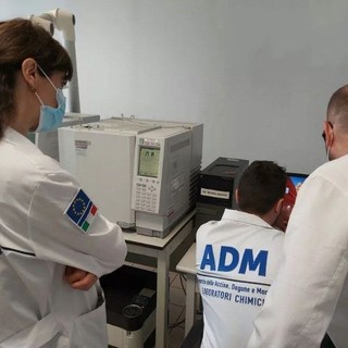 Importazione illegale di pesticidi dalla Cina scoperta nel Porto di Genova