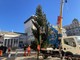 L'albero di Natale arrivato a De Ferrari, accensione l'8 dicembre