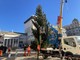 La festa: domani l’accensione dell’albero di piazza De Ferrari