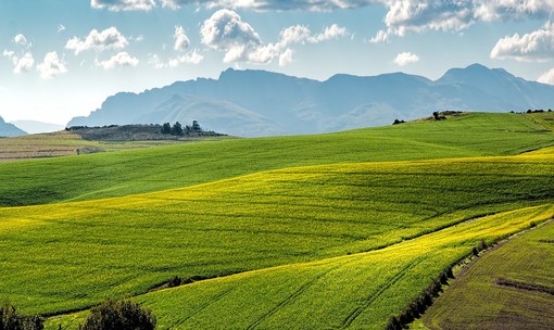 Agricoltura, Regione Liguria apre una nuova finestra fino al 23 settembre per due bandi da oltre 24,4 milioni