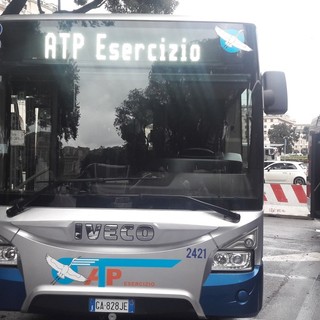 Atp Esercizio: presentati undici nuovi bus già in circolazione (FOTO)