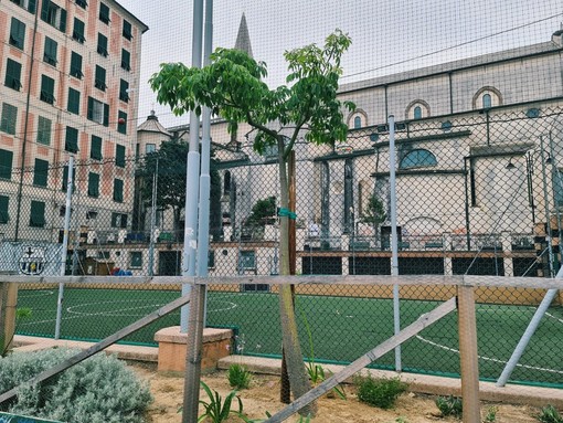 Giardini Luzzati, un albero dei sogni per ricordare Mahmoud Abdalla Giardini Luzzati, un albero dei sogni per ricordare Mahmoud Abdalla