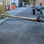 Foto Facebook Riformiamo Genova