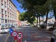 Pini di corso Podestà, nuove verifiche e attesa di due o tre settimane. Coppola: "L’abbattimento non è escluso” Pini di corso Podestà, nuove verifiche e attesa di due o tre settimane. Coppola: "L’abbattimento non è escluso”