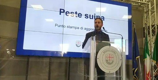 Peste suina, il vicepresidente regionale Piana: &quot;In Liguria dati stabili, dal ministero in arrivo 50 milioni&quot;