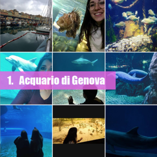 Il Comune di Genova sempre più social sbarca su Instagram (FOTO)