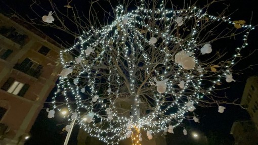 Illuminati due alberi di Natale in memoria delle vittime del crollo del ponte Morandi Illuminati due alberi di Natale in memoria delle vittime del crollo del ponte Morandi