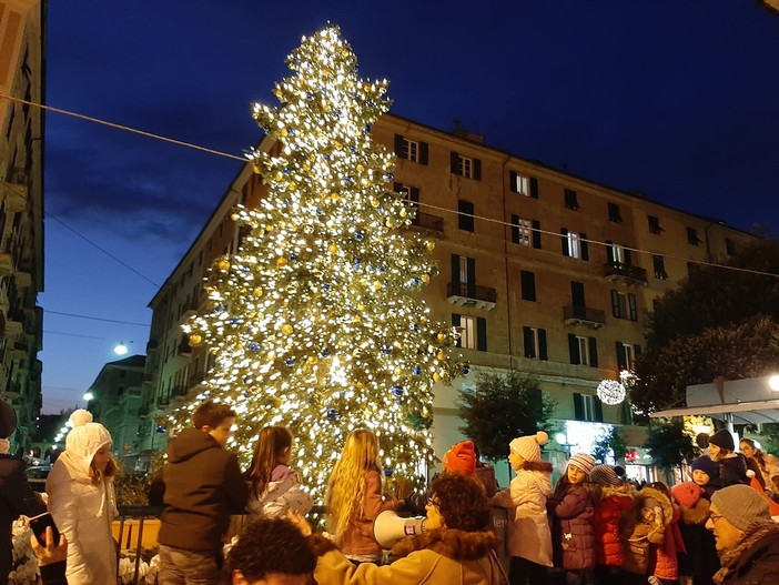 Si avvicina il tempo dell'albero di Natale, l'appello Coldiretti: "Scegliete abeti naturali e italiani"