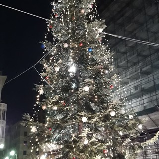 Sampierdarena: l'Albero e l'Opera per Natale