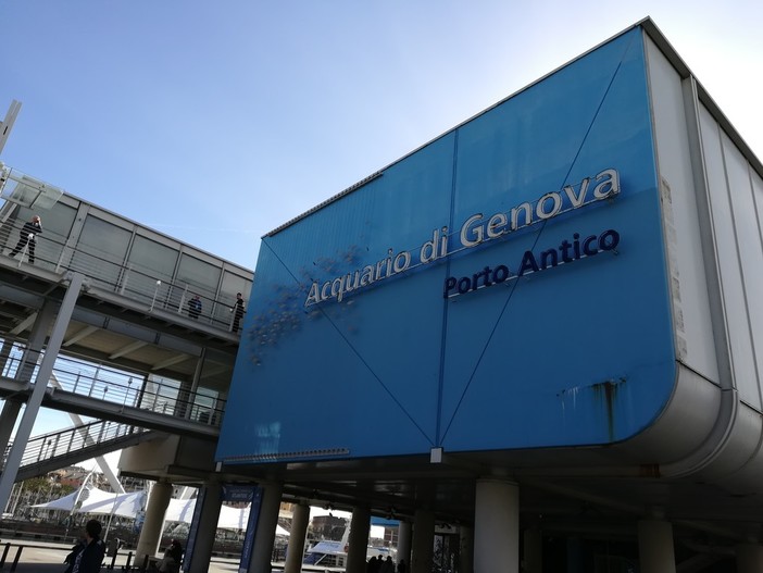 Acquario di Genova, visite boom nel fine settimana con oltre 6.000 presenze