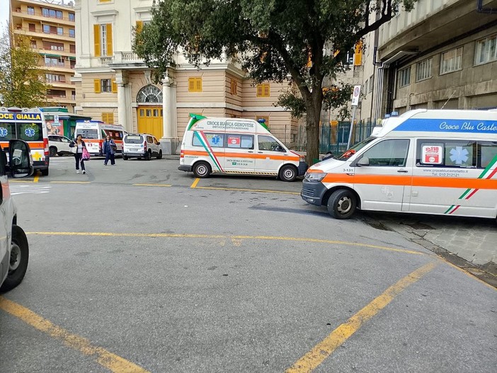 Folla al Pronto Soccorso, D'Angelo (Pd): "Bucci fa dichiarazioni scandalose" Folla al Pronto Soccorso, D'Angelo (Pd): "Bucci fa dichiarazioni scandalose"