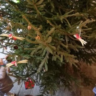 Gli alunni della scuola primaria ‘De Scalzi-Polacco’ addobbano l'abete di Palazzo Tursi (FOTO)