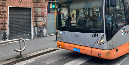 Amt, le linee 515 516 e 517 variano il percorso per l'evento "Metti una sera a Nervi"