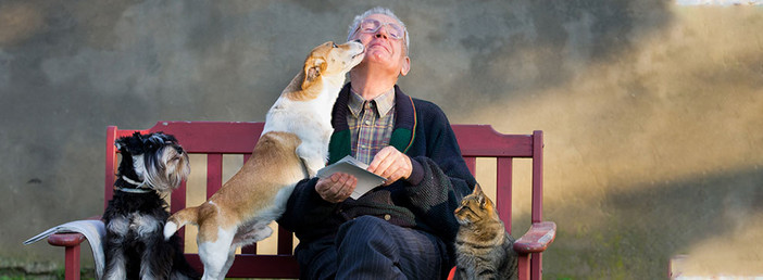 Foto Facebook Frontline