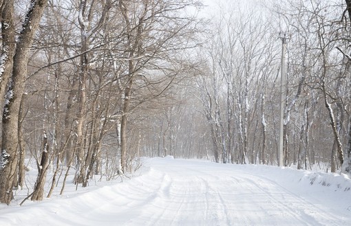 Autostrade: pericolo neve in vari tratti su A7 e A10 nel giorno dell'Immacolata